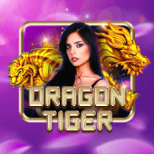 Dragon Tiger Nino Gaming APK app download